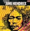 Jeff Cooper And The Stoned Wings - Tribute To Jimi Hendrix (LP)